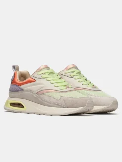 HOFF Sacre Coeur New